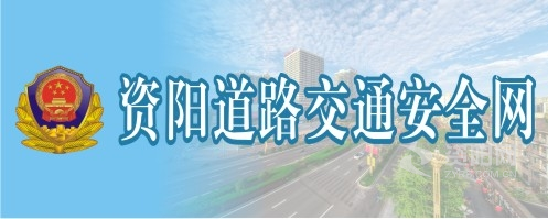 www插插插资阳道路交通安全网